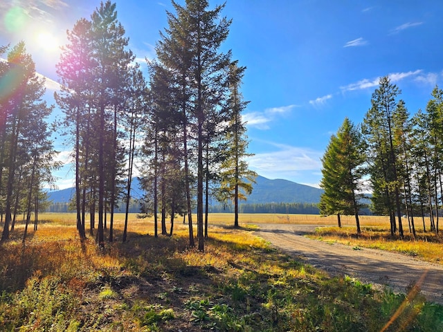 19 Faro Ln, Trout Creek, MT 59874