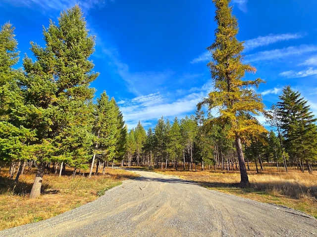 19 Faro Ln, Trout Creek, MT 59874