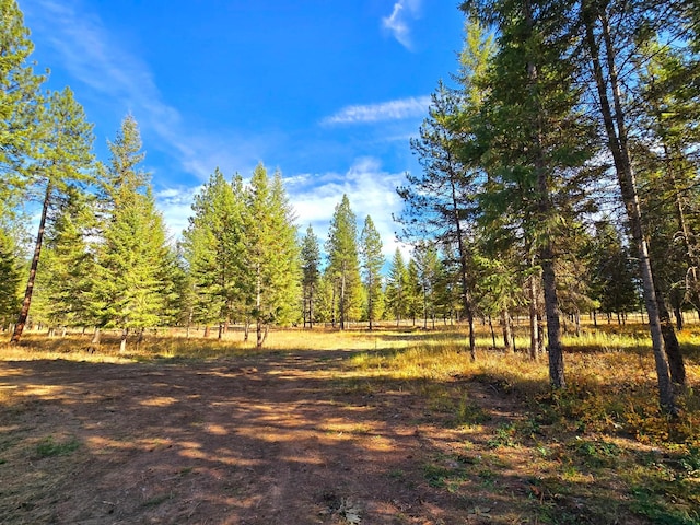 19 Faro Ln, Trout Creek, MT 59874