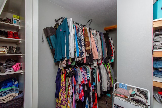 view of walk in closet