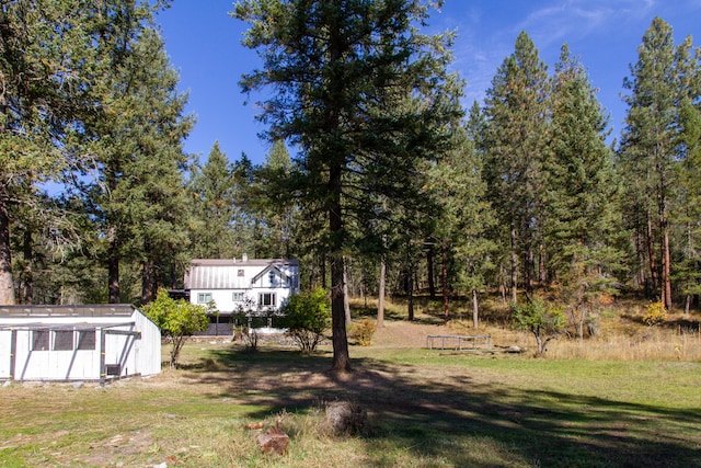 view of yard with a storage shed