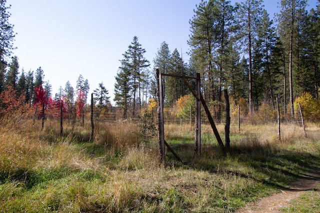 view of local wilderness