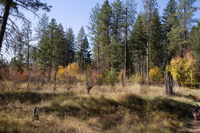 view of landscape