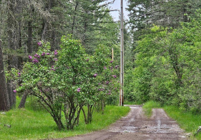 view of road