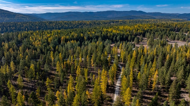 property view of mountains