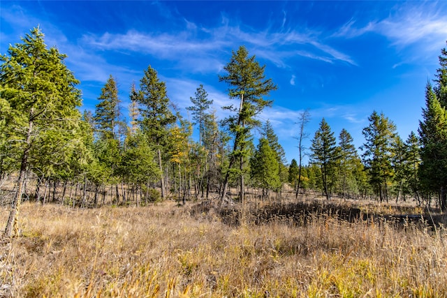 view of nature