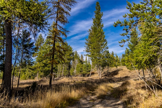 view of local wilderness