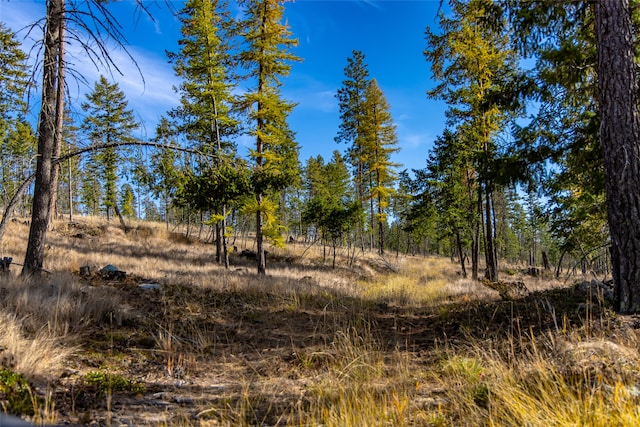 view of local wilderness