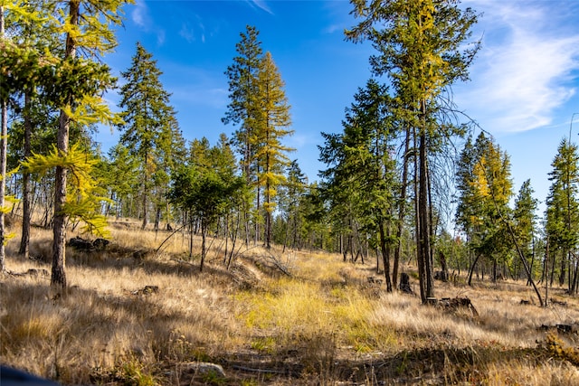 view of nature