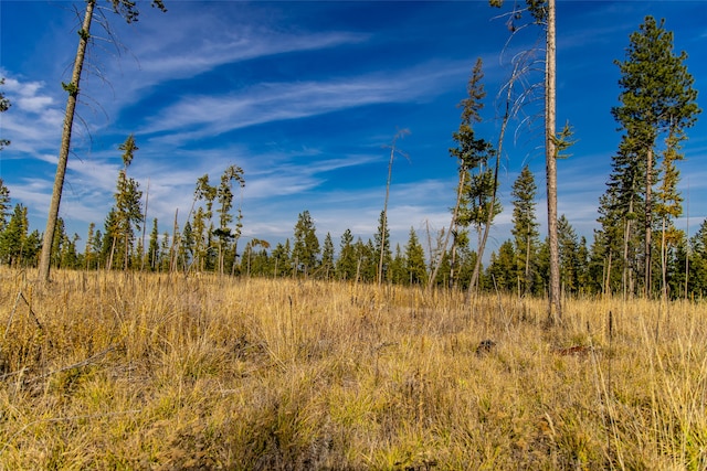 view of nature