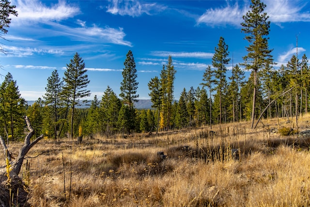 view of nature