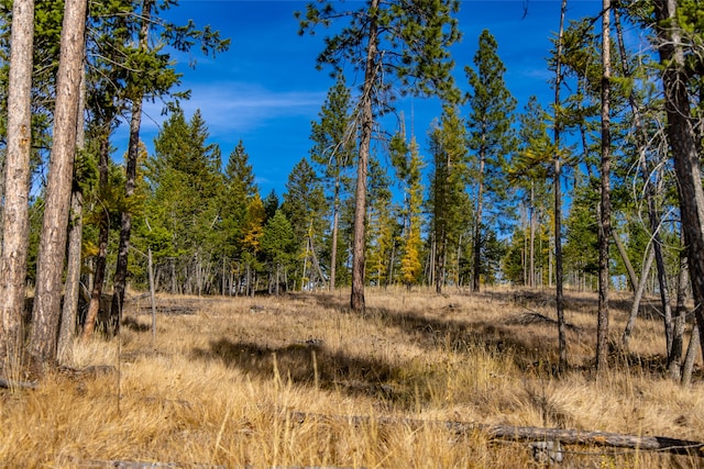 view of landscape