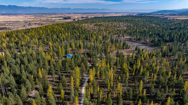 drone / aerial view with a mountain view