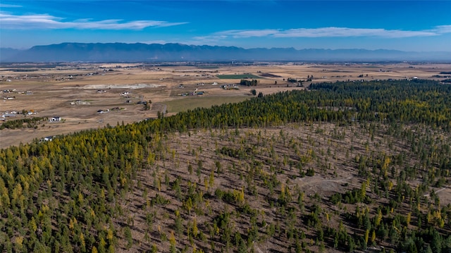 bird's eye view featuring a mountain view