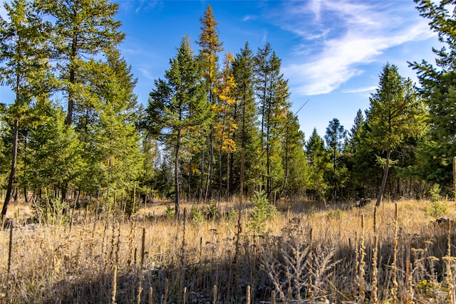 view of nature