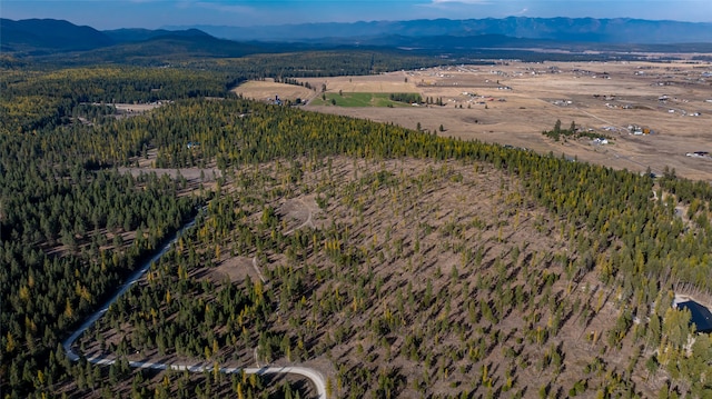 drone / aerial view featuring a mountain view