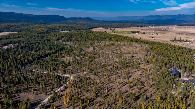 drone / aerial view with a mountain view