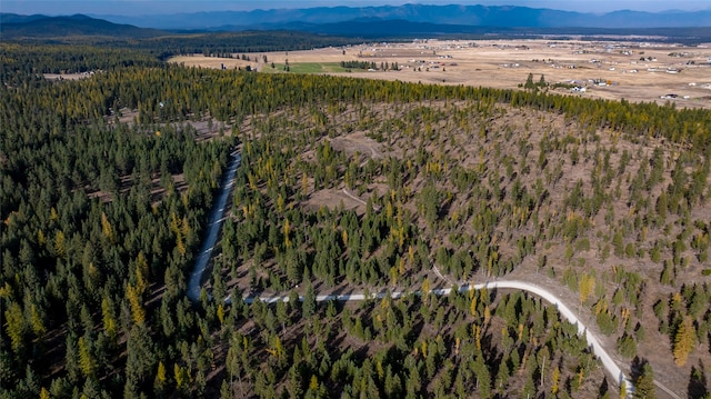 aerial view with a mountain view