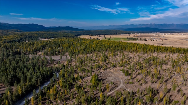 aerial view with a mountain view