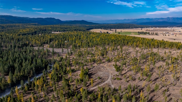 bird's eye view with a mountain view