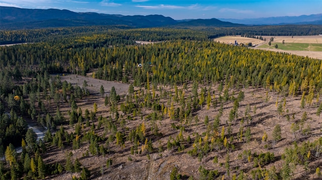 aerial view featuring a mountain view