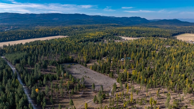 aerial view featuring a mountain view