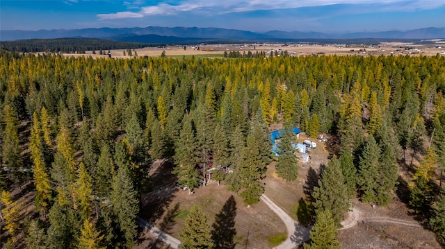 bird's eye view with a mountain view