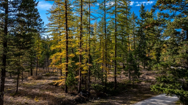 view of nature