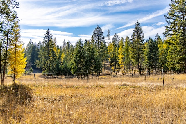 view of local wilderness with a rural view