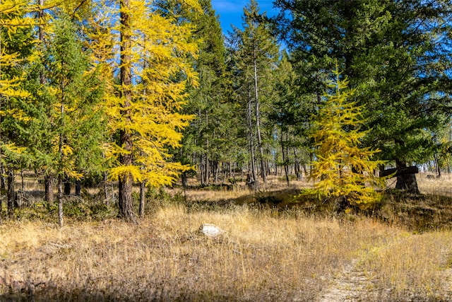 view of nature