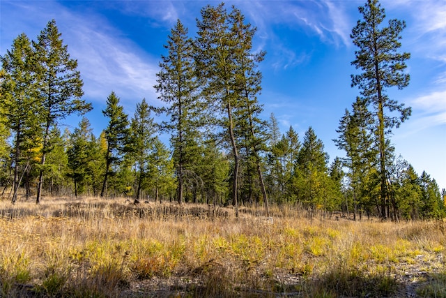 view of local wilderness