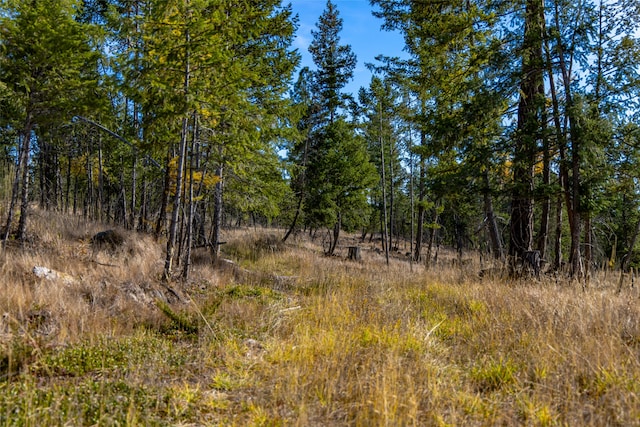 view of local wilderness