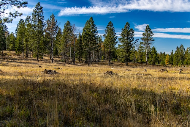 view of nature with a rural view