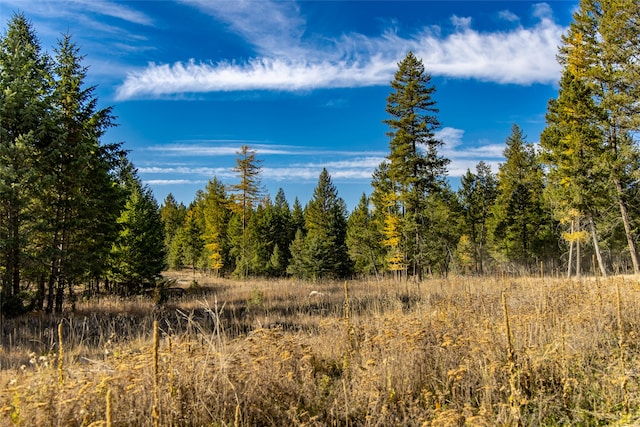 view of local wilderness