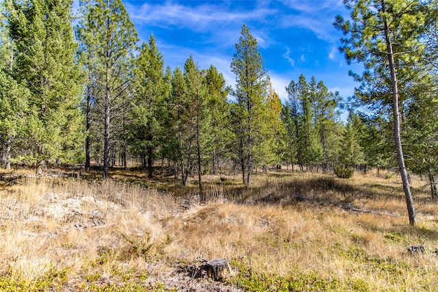 view of local wilderness