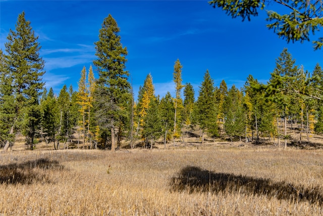 view of local wilderness