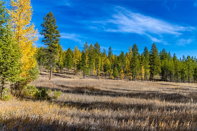 view of nature