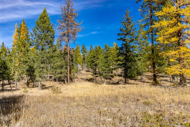 view of local wilderness