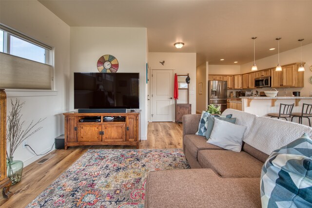 living room with light wood-type flooring