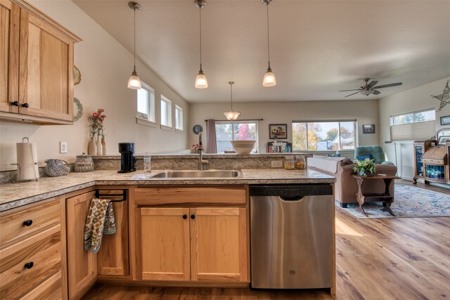 kitchen with sink, light hardwood / wood-style flooring, a healthy amount of sunlight, and dishwasher