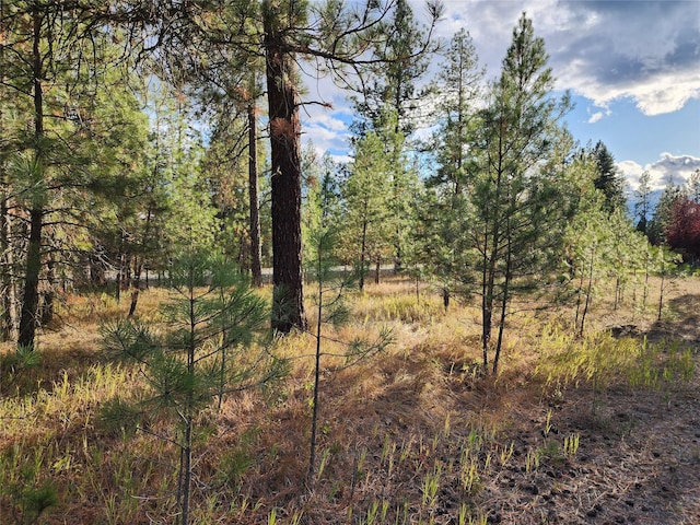 KNA Highway 37, Libby, MT 59923