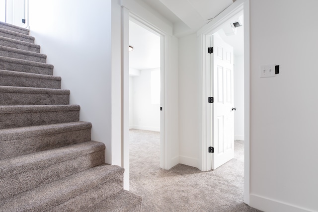 stairway featuring carpet