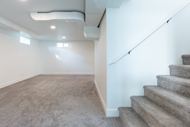 basement featuring carpet