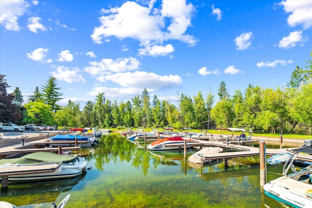 dock area featuring a water view