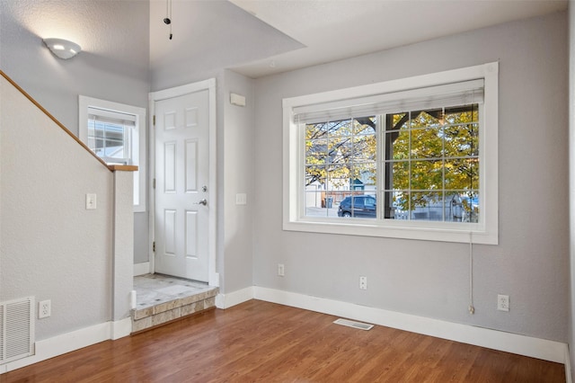 foyer entrance with hardwood / wood-style flooring and a healthy amount of sunlight