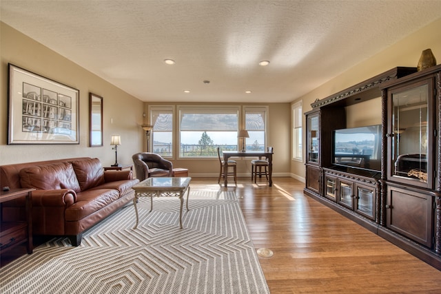 living room featuring a textured ceiling and light hardwood / wood-style flooring