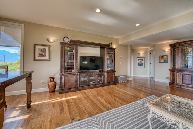 living room with wood-type flooring