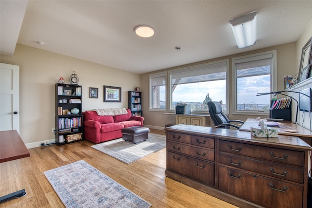 office space with light hardwood / wood-style flooring