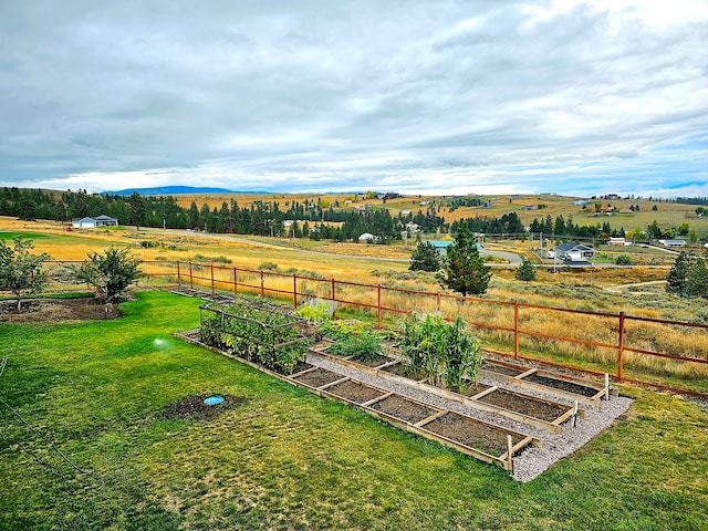 view of yard with a rural view