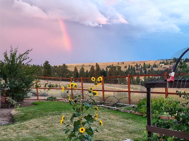 view of yard featuring a rural view